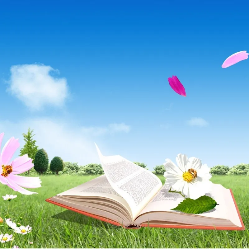 NGƯỜI ĐỌC SÁCH 