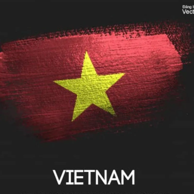 Dòng Máu Việt - Lịch Sử