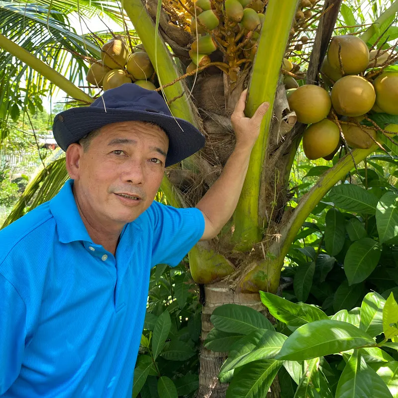 Út Lâm Miền Tây 
