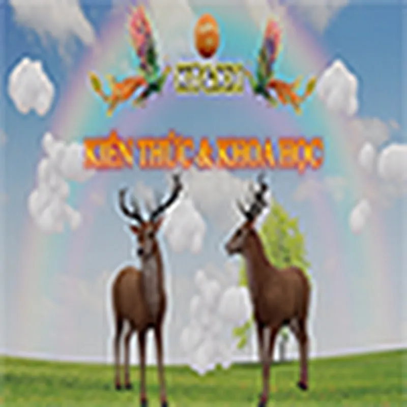 KIẾN THỨC VÀ KHOA HỌC