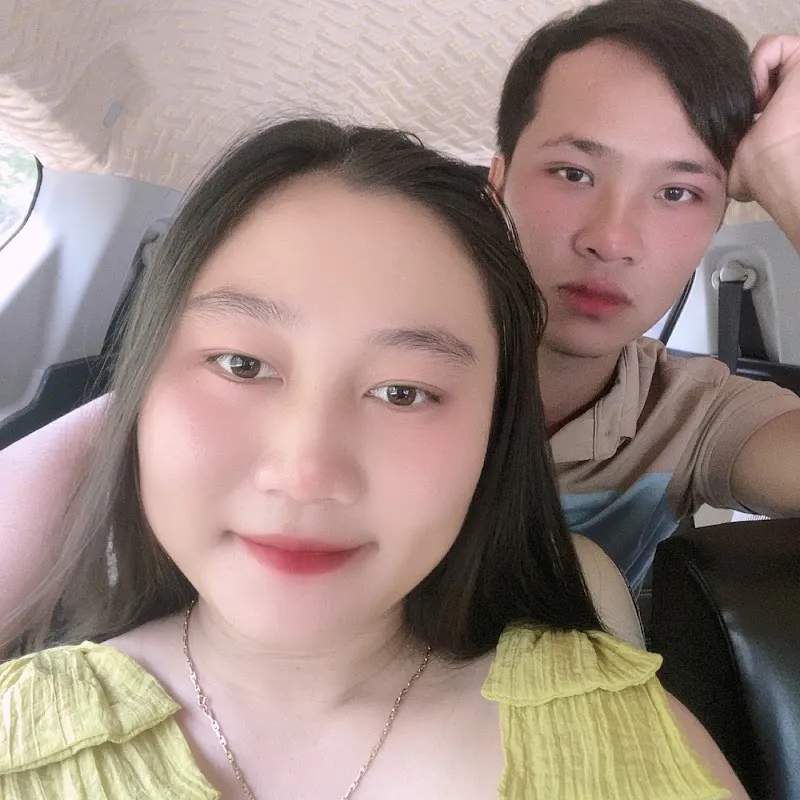 Chí Phong Mai Vàng