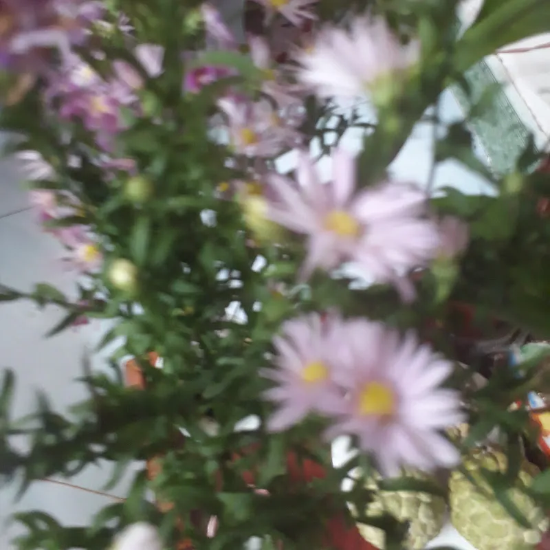 Ẩm Thực Nhà Bốn