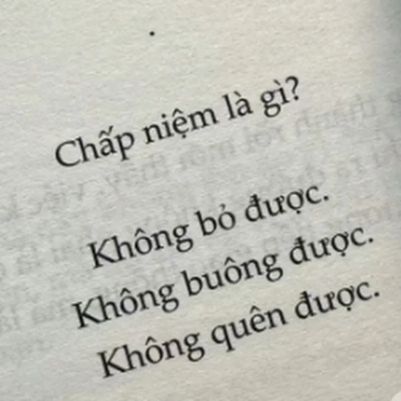 Dân đam mê nhảy tiktok