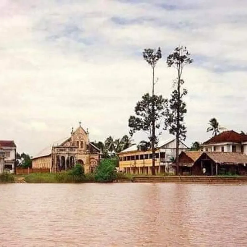 Lê Cường mai vàng