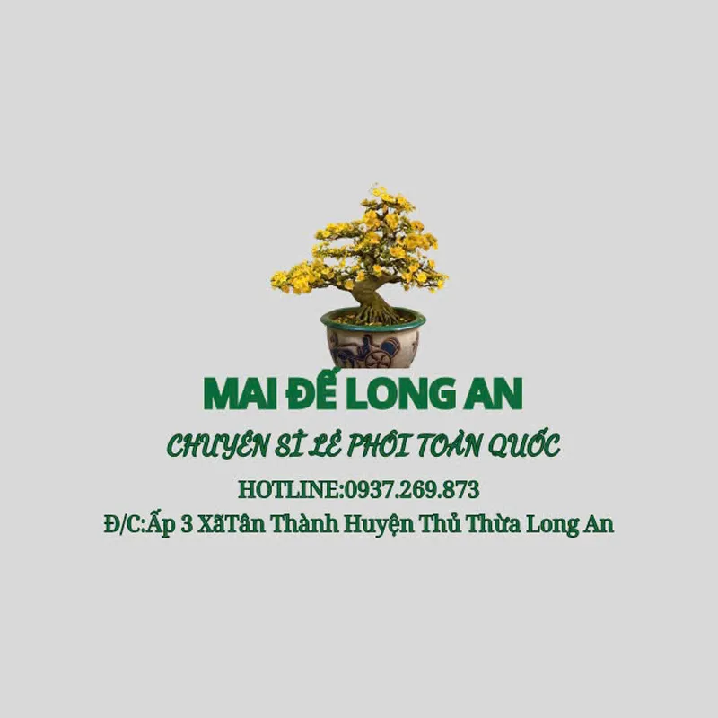 Mai Đế Long An