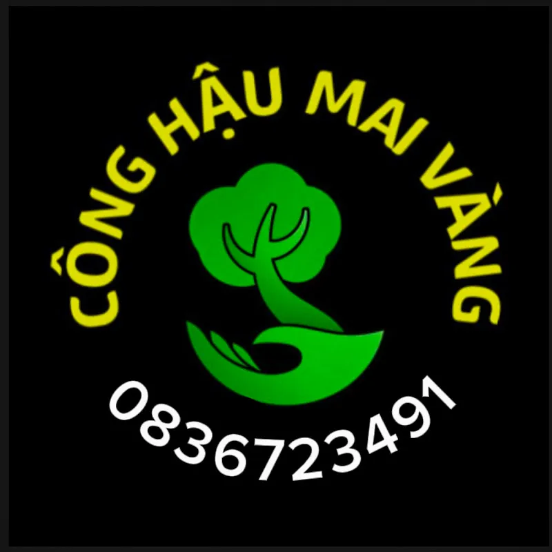Công Hậu Mai Vàng 71