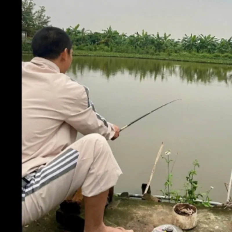 Giải trí quanh ta vlog 