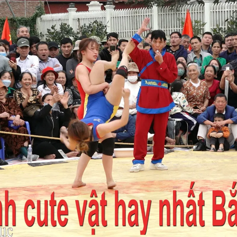 Văn hóa giáo dục.