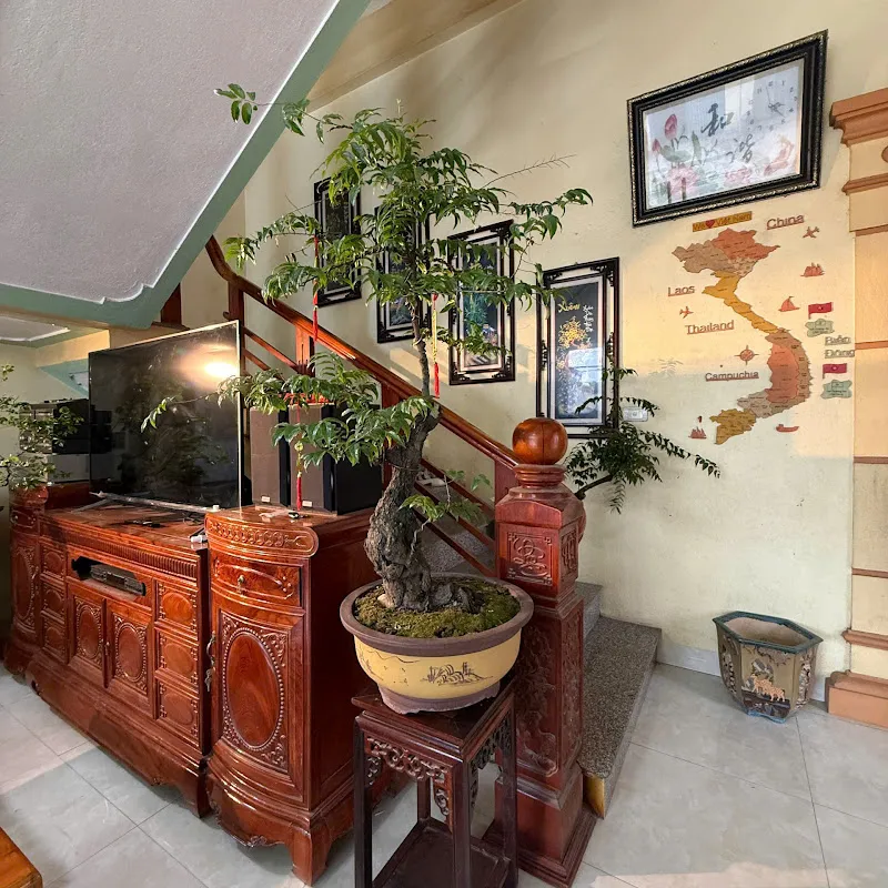 Muội Hồng Bonsai Quân Phương