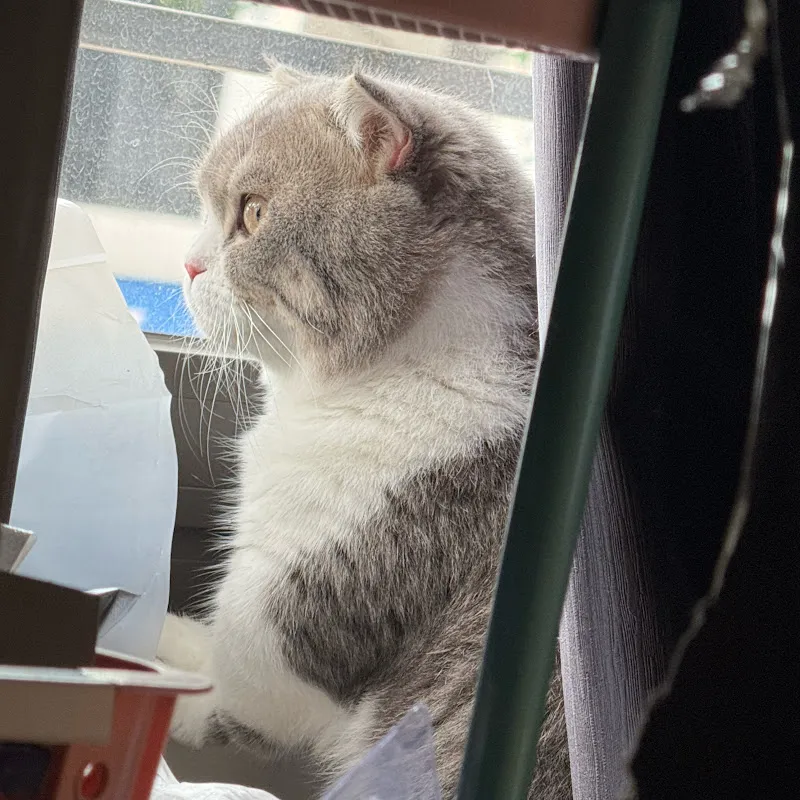 Boo thúi chưa hái cà🍆