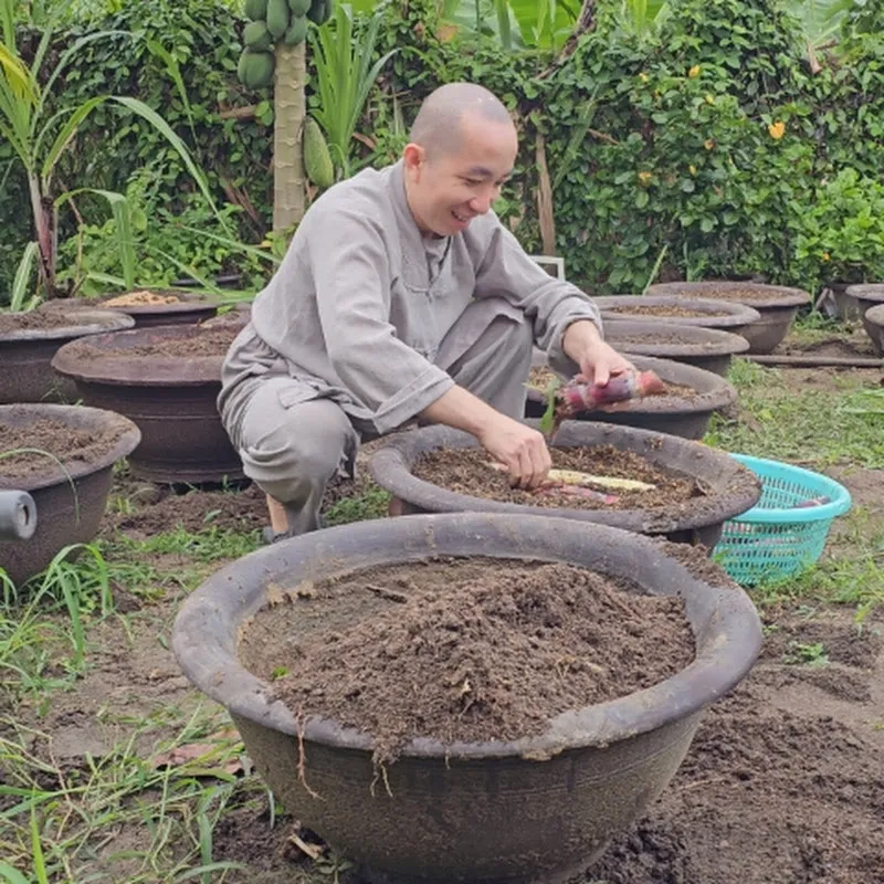 Thích Nhật Đăng