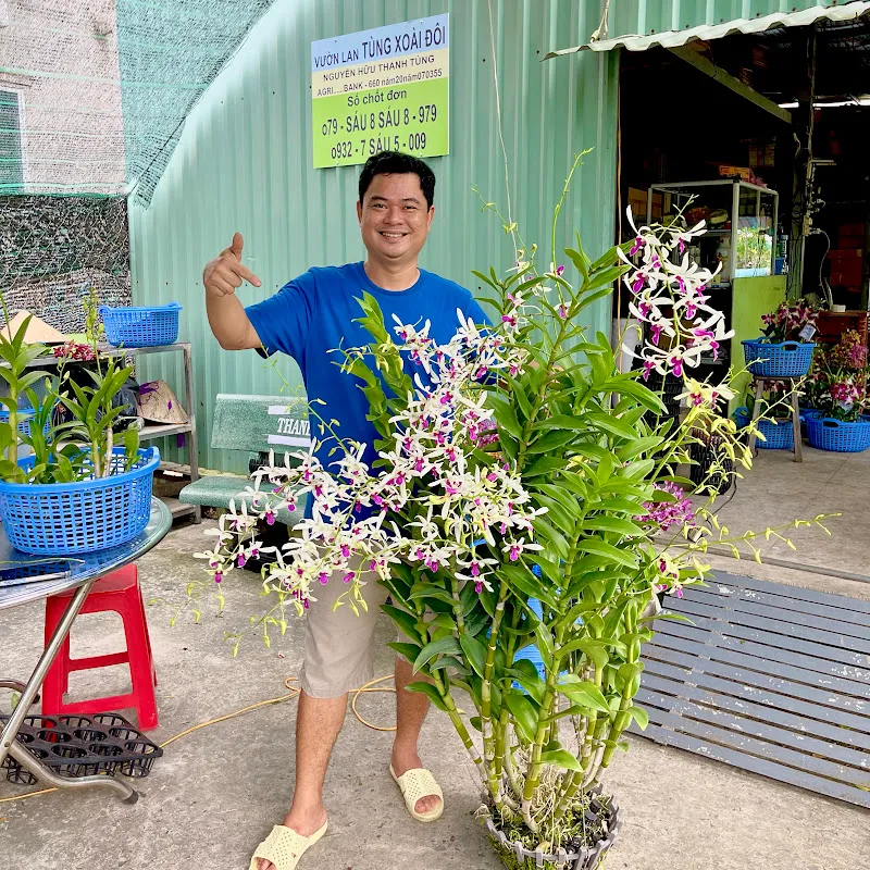 Vườn Lan Tùng Xoài Đôi