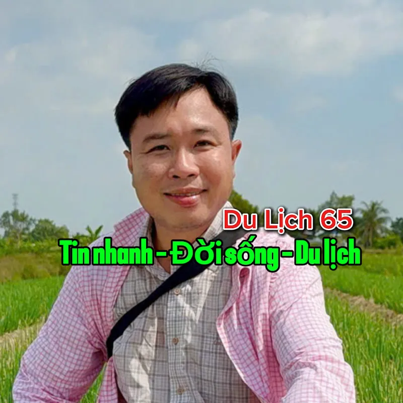Du Lịch 65