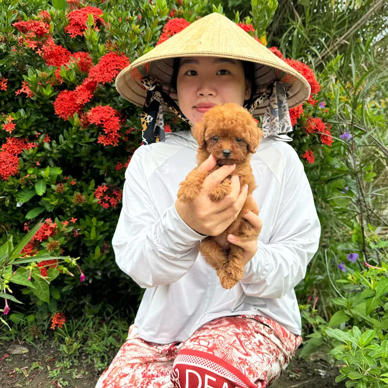 Shop Thú Cưng Giá Rẻ Cần Thơ